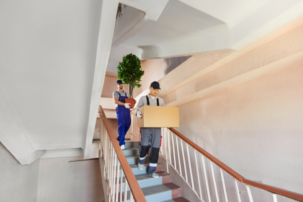 local mover in dubai 2